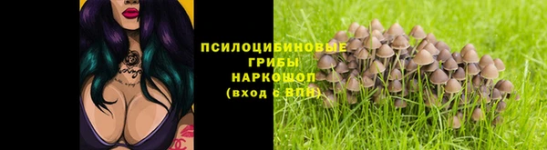 мескалин Алексин