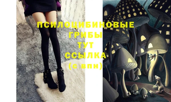герыч Алзамай