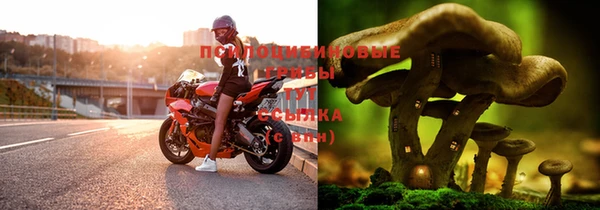 мескалин Алексин